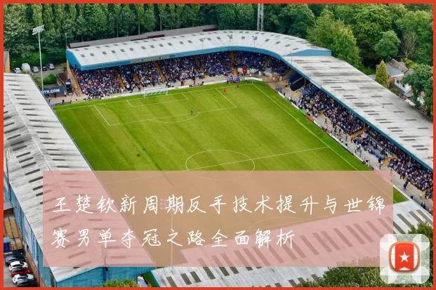 王楚钦新周期反手技术提升与世锦赛男单夺冠之路全面解析