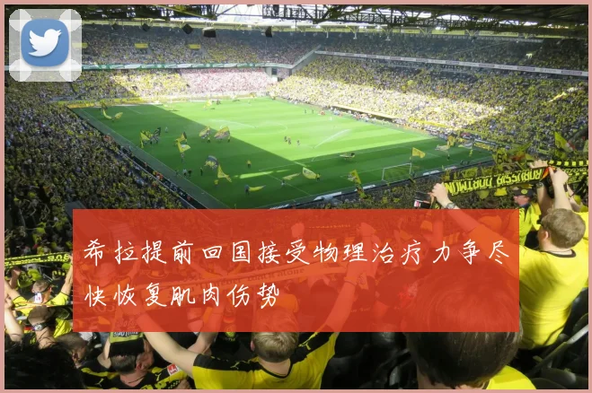 希拉提前回国接受物理治疗力争尽快恢复肌肉伤势