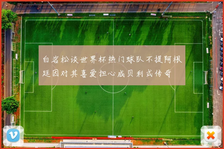 白岩松谈世界杯热门球队不提阿根廷因对其喜爱担心成贝利式传奇